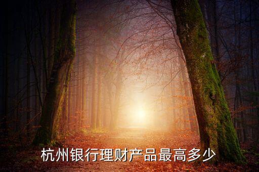 豐裕1號(hào)有什么風(fēng)險(xiǎn)，杭州銀行理財(cái)產(chǎn)品豐裕一號(hào)風(fēng)險(xiǎn)等級(jí)怎么