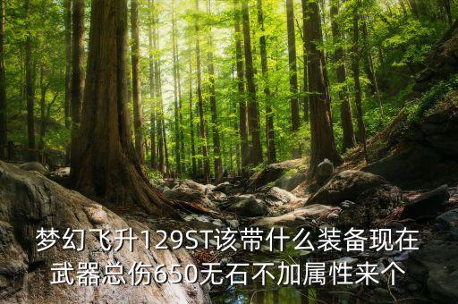 129st要什么裝備，夢幻飛升129ST該帶什么裝備現(xiàn)在武器總傷650無石不加屬性來個(gè)