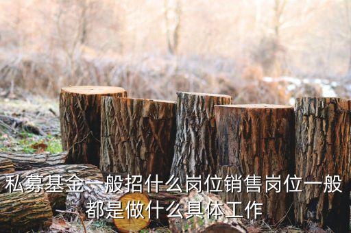 私募公司的市場部做什么，投資公司的市場部職員主要做什么