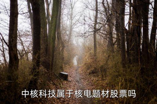 中核科技是什么板塊，中核科技屬于核電題材股票嗎