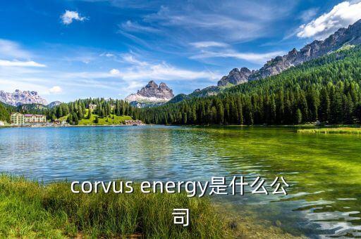凱富能源是什么公司，corvus energy是什么公司