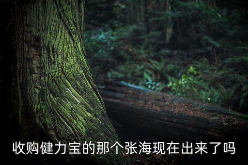 收購健力寶的那個(gè)張?，F(xiàn)在出來了嗎