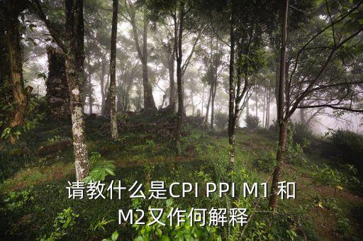 m2指數(shù)是什么，請(qǐng)教什么是CPI PPI M1 和 M2又作何解釋