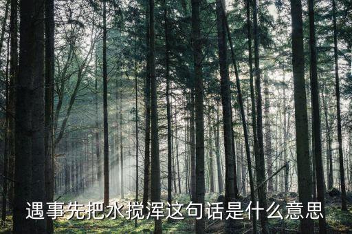 攪渾水什么意思，遇事先把水?dāng)嚋嗊@句話是什么意思