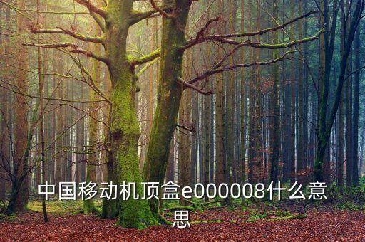 中國移動(dòng)機(jī)頂盒e000008什么意思