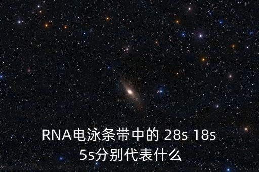 中能國研是什么，在HTML中content是什么意思