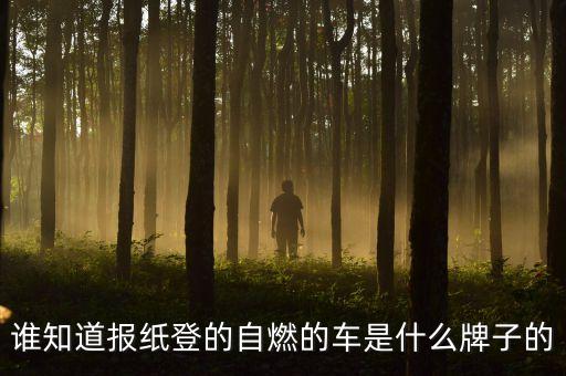 延安路轎車(chē)自燃什么牌子的車(chē)，誰(shuí)知道報(bào)紙登的自燃的車(chē)是什么牌子的