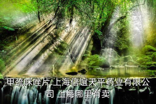 甲巰咪唑片 上海信誼天平藥業(yè)有限公司 上海哪里有賣(mài)