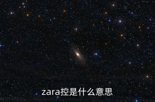 普邦金控是什么，zara控是什么意思