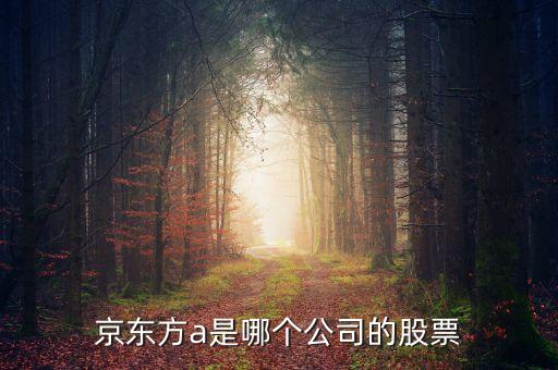 京東方a是什么企業(yè)，京東方A董事長是誰是什么企業(yè)