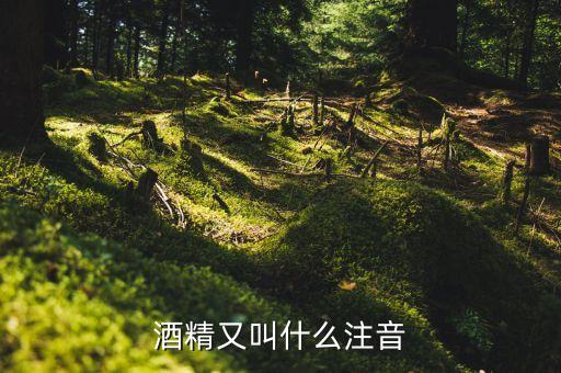 酒經酒驚又名什么，酒精又叫什么注音