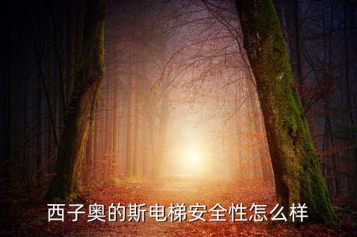 西子奧的斯電梯有什么缺陷，西子奧的斯電梯安全性怎么樣