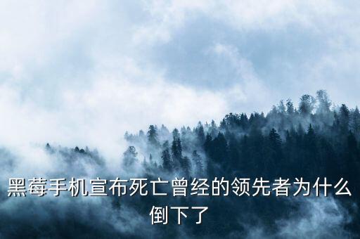 黑莓為什么失敗，黑莓手機(jī)上邊出現(xiàn)初始化失敗是什么原因