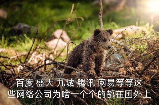 盛大為什么上市，百度 盛大 九城 騰訊 網(wǎng)易等等這些網(wǎng)絡(luò)公司為啥一個個的都在國外上