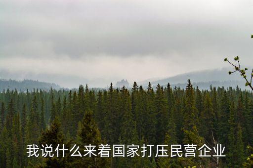 中國為什么打壓民企，我說什么來著國家打壓民營企業(yè)