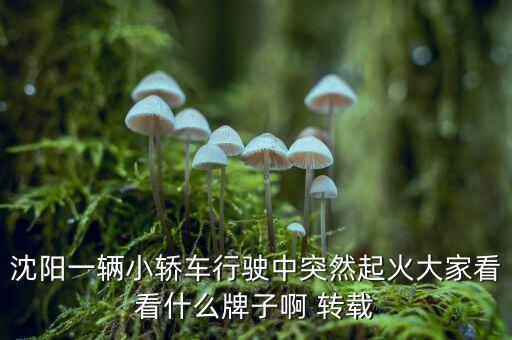 沈陽(yáng)一輛小轎車(chē)行駛中突然起火大家看看什么牌子啊 轉(zhuǎn)載