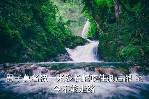 男子莫名被一米多長(zhǎng)蛇咬住腳后跟 至今不能走路