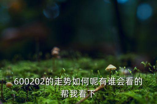 600202有什么概念，誰(shuí)能幫我分析一下600202