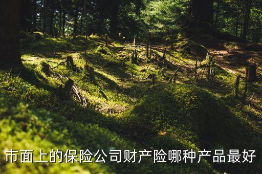 國(guó)外財(cái)險(xiǎn)公司什么險(xiǎn)種最火，市面上的保險(xiǎn)公司財(cái)產(chǎn)險(xiǎn)哪種產(chǎn)品最好