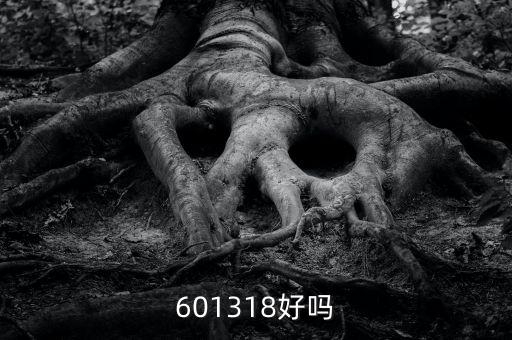 601318是什么股，601318好嗎