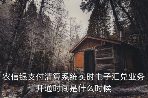 什么是特約電子匯兌，各位大神請問有誰知道建行卡交易明細清單上寫的特約匯融