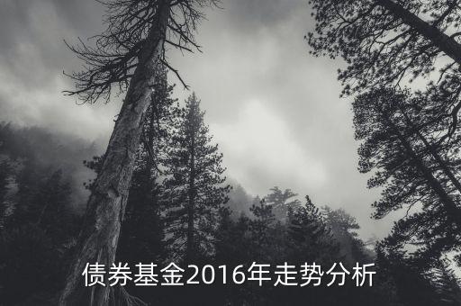 2016年的債券的投資的方向是什么，債券基金2016年走勢(shì)分析