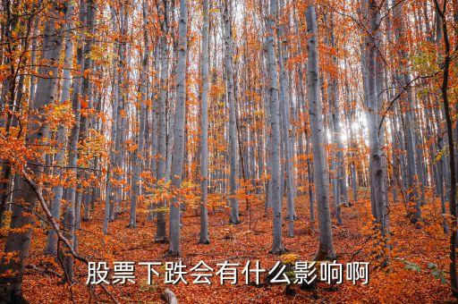 股市跌了有什么影響，股票下跌會有什么影響啊
