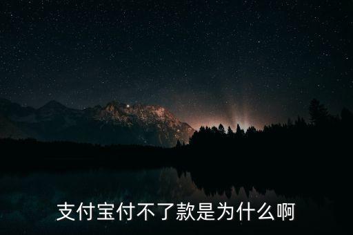 手機(jī)支付寶為什么不能付款，支付寶付不了款是為什么啊