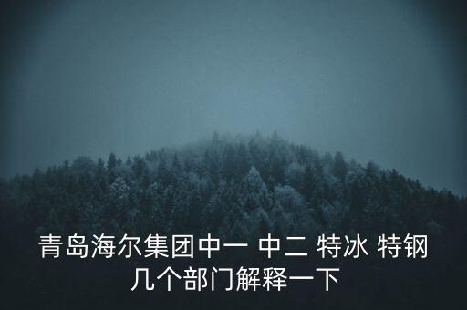 海爾內(nèi)銷是什么意思，有帶鎖的冰箱么冷藏冷凍功能都要有的謝謝