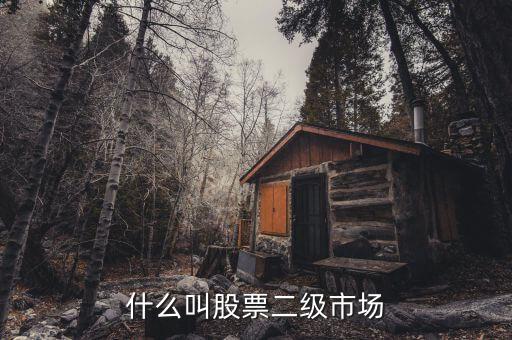在二級市場買的股票有什么，二級市場上交易的股票
