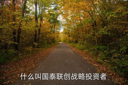 國航為什么選擇國泰作戰(zhàn)略投資者，什么叫國泰聯(lián)創(chuàng)戰(zhàn)略投資者