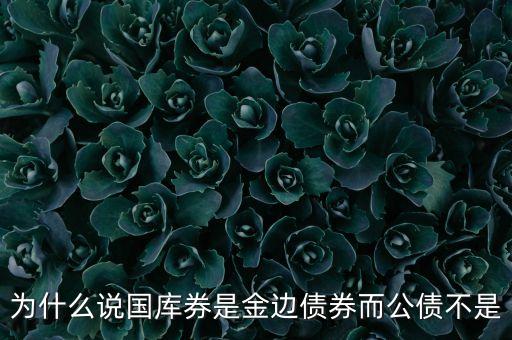 為什么說國(guó)庫(kù)券是金邊債券而公債不是