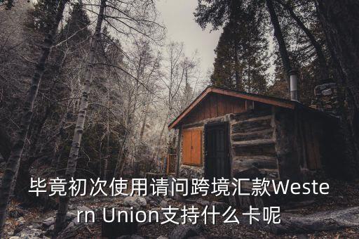 什么是西聯(lián)，畢竟初次使用請(qǐng)問(wèn)跨境匯款Western Union支持什么卡呢