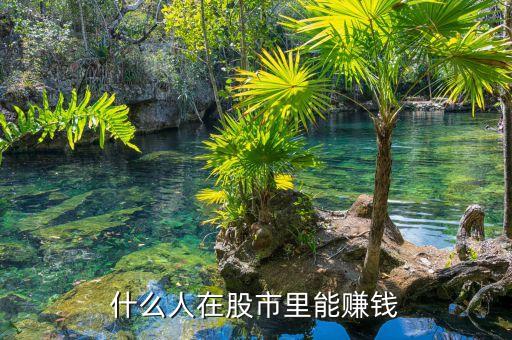 股市中什么人能賺到錢，目前在股市上賺錢的是些什么人