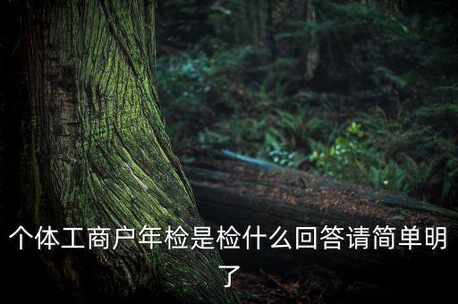 上海個體戶工商所年報是什么，個體營業(yè)執(zhí)照需作年度報告