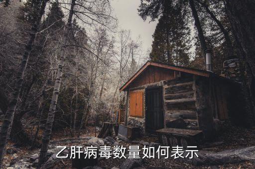 乙肝病毒20萬代表什么意思，乙肝DNA定量結(jié)果是100000是甚么意思