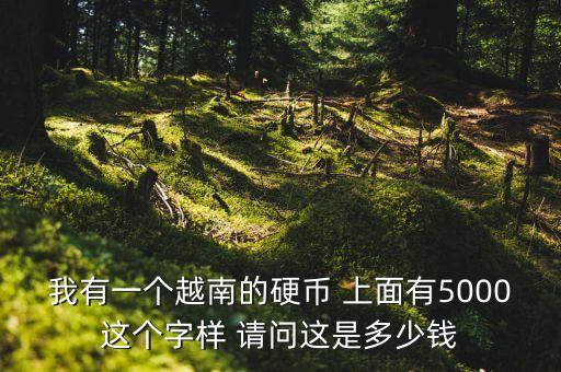 我有一個(gè)越南的硬幣 上面有5000這個(gè)字樣 請(qǐng)問(wèn)這是多少錢