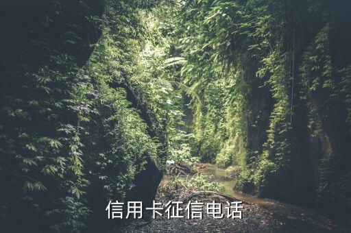 申請信用卡征信會用什么電話打，辦信用卡征信上是一年前的手機(jī)號 銀行會打征信上的手機(jī)號碼嗎