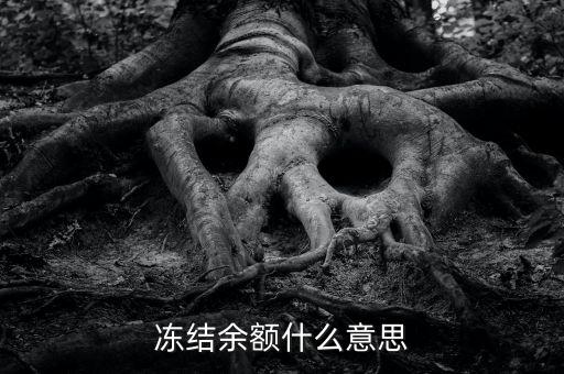 建設(shè)銀行凍結(jié)余額是什么意思，凍結(jié)余額什么意思