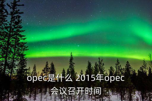 什么是opec會(huì)議，OPEC石油會(huì)議是什么時(shí)候召開(kāi)啊石油價(jià)格會(huì)受影響嗎