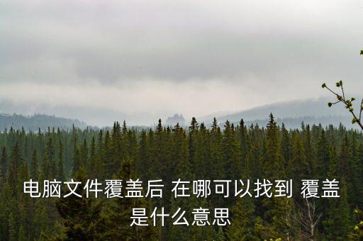 首次覆蓋是什么意思，首次覆蓋給予買入評級(jí) 什么意思