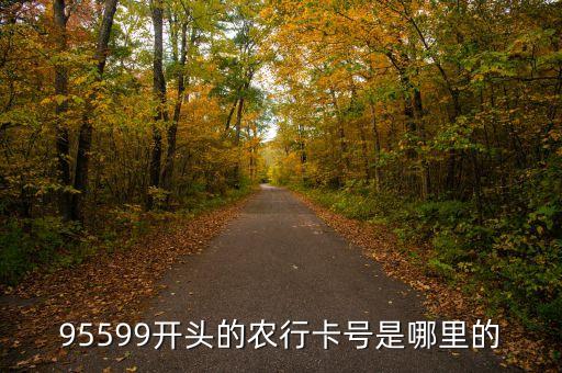 農(nóng)業(yè)銀行95599開頭的是什么卡，95599開頭是什么銀行的卡