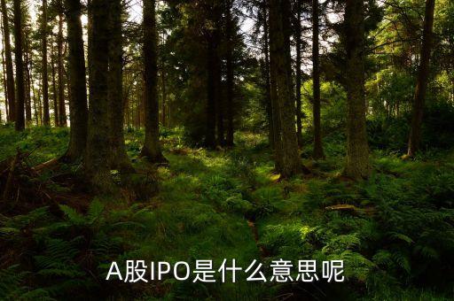 a股上市是什么意思，A股上市是什么意思 中國人保A股上