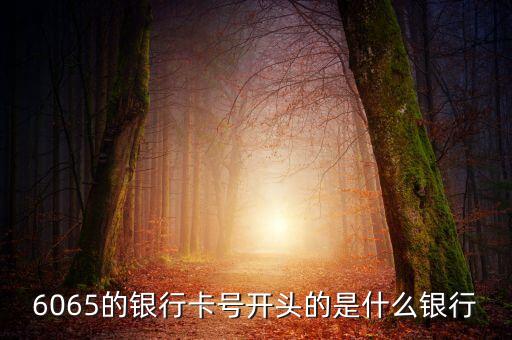 6055開頭是什么銀行，6055開頭是什么銀行的 急求