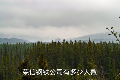 榮信電子有限公司什么時(shí)候成立，鞍山榮信電子怎么樣