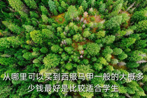 什么牌子賣(mài)西裝馬甲，什么牌子的西裝馬甲好