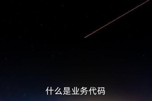工商業(yè)務(wù)代碼是什么意思，businesscode是啥意思