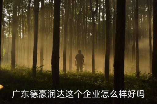 廣東德豪潤達(dá)這個(gè)企業(yè)怎么樣好嗎