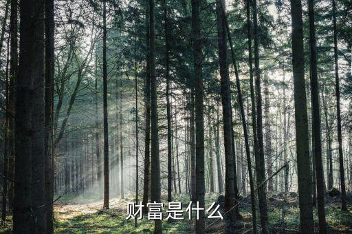 財(cái)富是什么莫奈，財(cái)富是什么