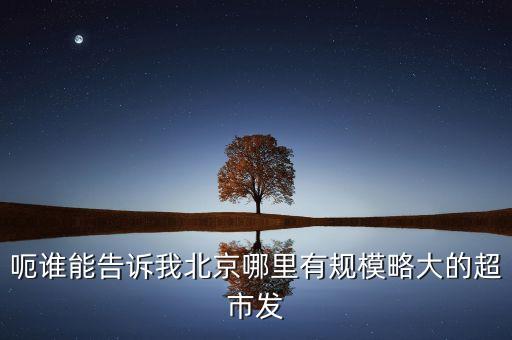 北京超市發(fā)有什么部門，呃誰能告訴我北京哪里有規(guī)模略大的超市發(fā)